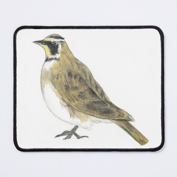 Item preview, Horned Lark drawing designed and sold by skwinnicki.