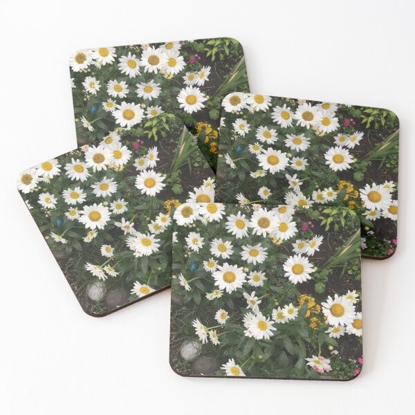 Item preview, Daisies designed and sold by Leanne Ramnarine.