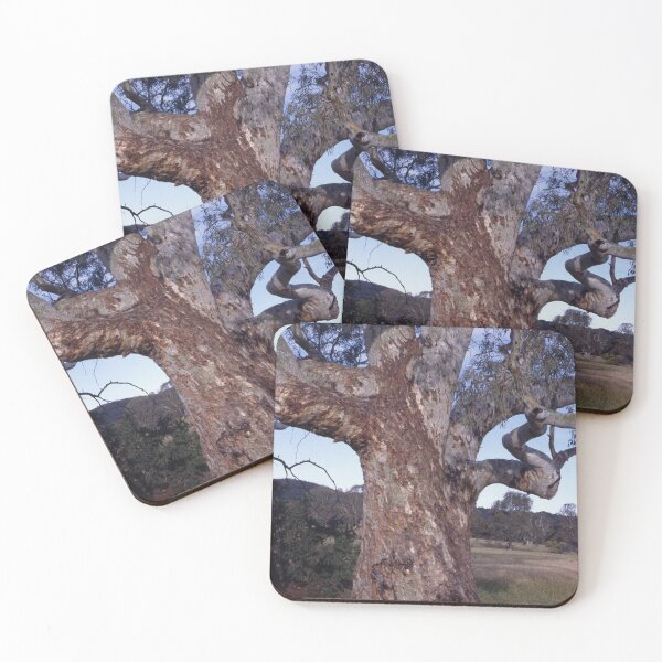 Item preview, The Painted Trunk: Mottled Bark of a River Red Gum designed and sold by AnalogDays.