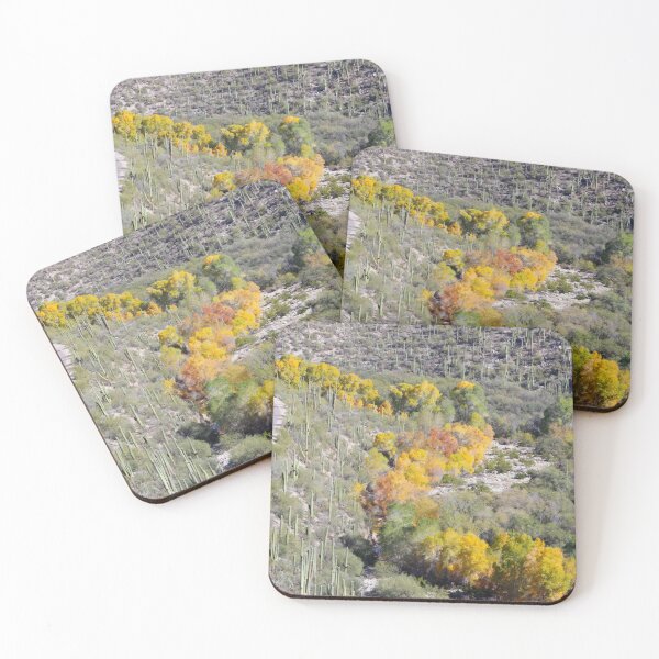 Item preview, Hermosos árboles de otoño y cactus saguaro designed and sold by simonjayphotos.