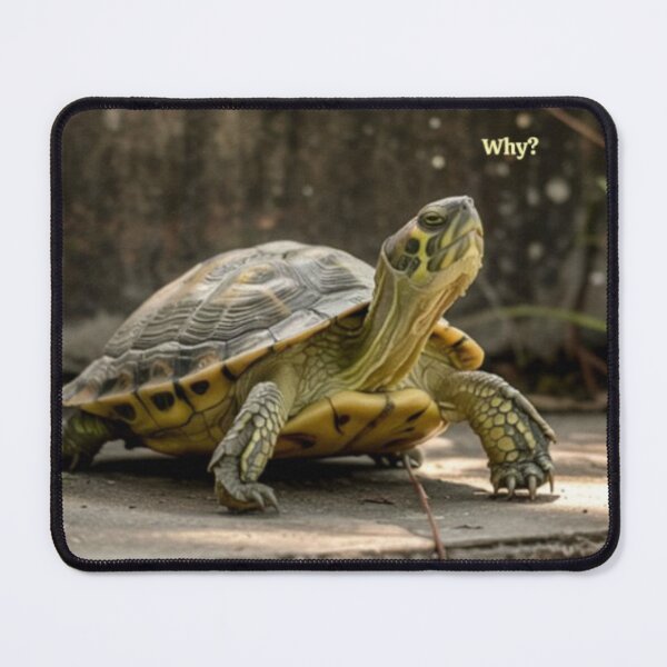 Item preview, Turtle Why designed and sold by Kwandry.
