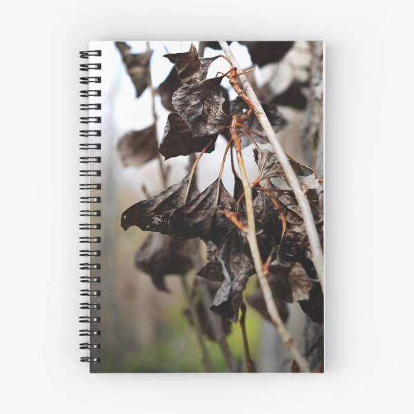 Item preview, Withered Leaves  designed and sold by JustAnEffigy.