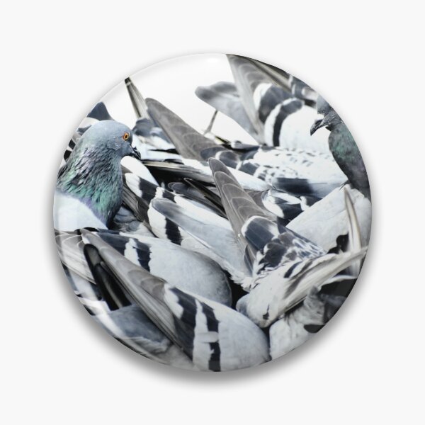 Item preview, Group of pigeons designed and sold by Rav33822.