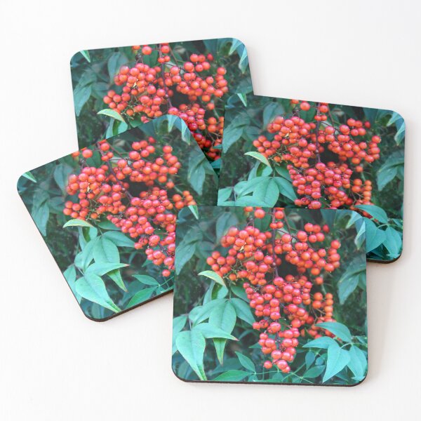 Item preview, Nandina Berries designed and sold by heatherfriedman.