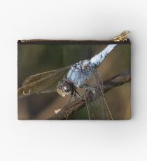 Blue Skimmer Portrait Studio Pouch
