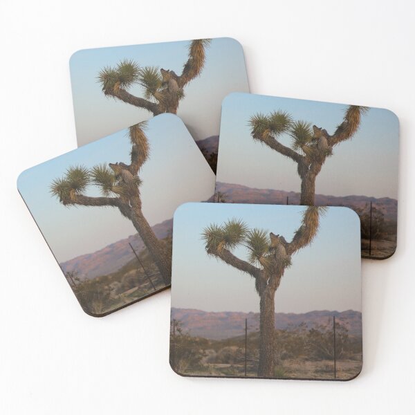 Item preview, Joshua Tree designed and sold by lilyymagno.