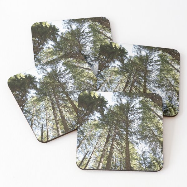 Item preview, More than words. - Washington trees, rainforest, beautiful nature. designed and sold by artsychickphoto.