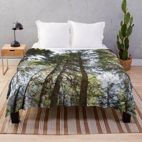 Item preview, More than words. - Washington trees, rainforest, beautiful nature. designed and sold by artsychickphoto.