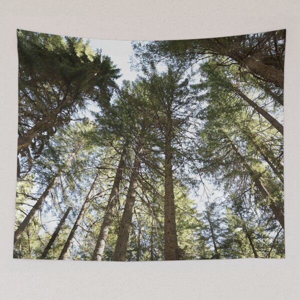 Item preview, More than words. - Washington trees, rainforest, beautiful nature. designed and sold by artsychickphoto.