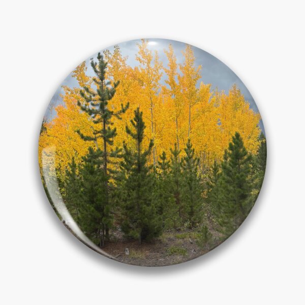 Item preview, Aspens in Nederland designed and sold by SemataryStills.