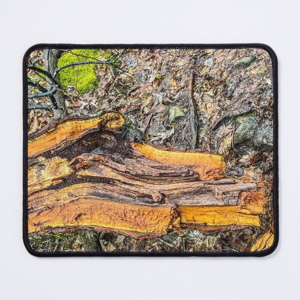 Item preview, Rustic Forest Tree Trunk Texture designed and sold by aadventures.