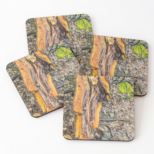 Item preview, Rustic Forest Tree Trunk Texture designed and sold by aadventures.