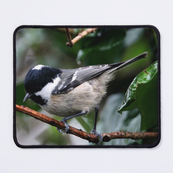 Item preview, coal tit designed and sold by KathleenDawson.