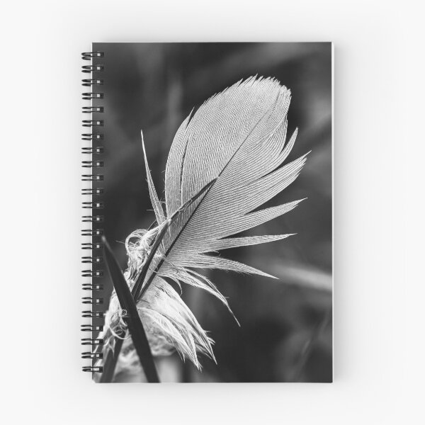 Item preview, Minimal Feather – Black and White Macro designed and sold by Rabee Khalil Photography.