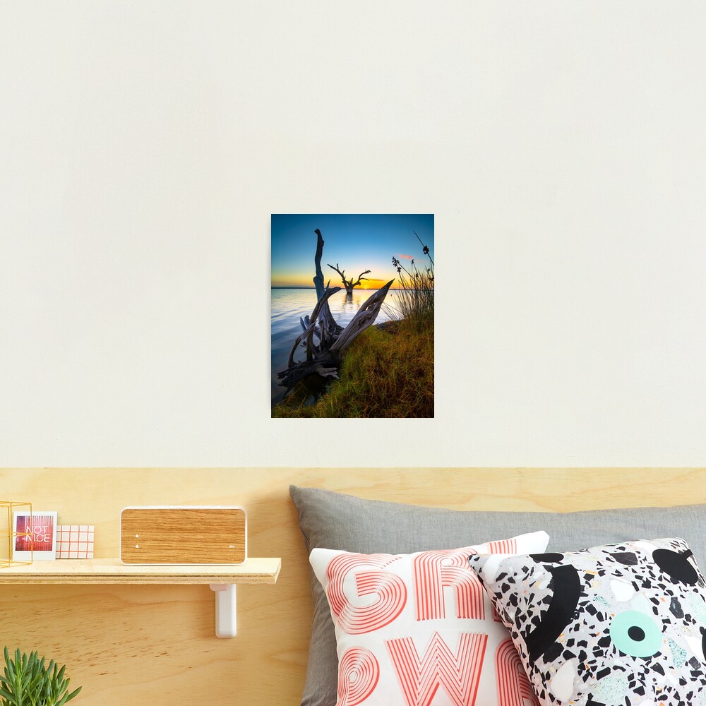 Sunrise Photographic Print