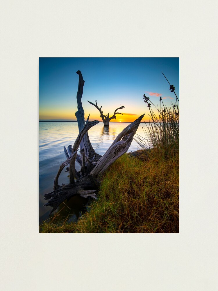Alternate view of Sunrise Photographic Print
