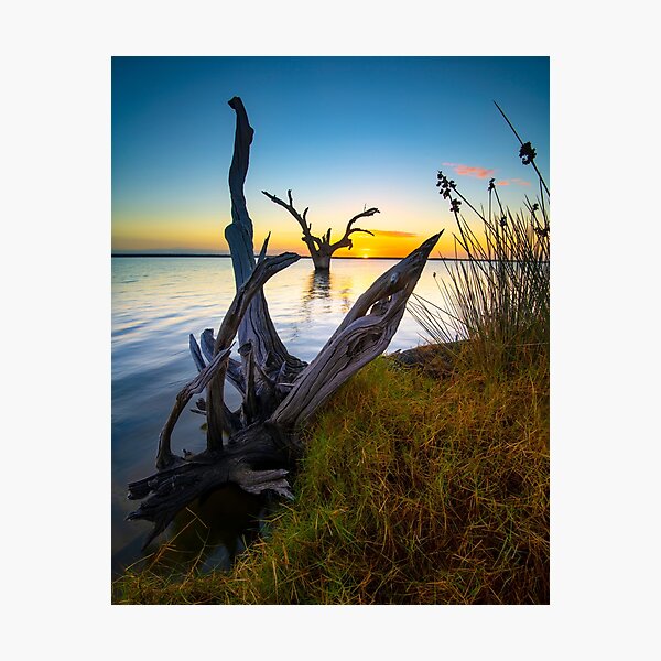 Sunrise Photographic Print