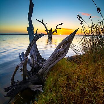 Artwork thumbnail, Sunrise by Adrian Alford Photography