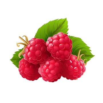 Artwork thumbnail, Ruby Raspberry Closeup by New-School-Wave