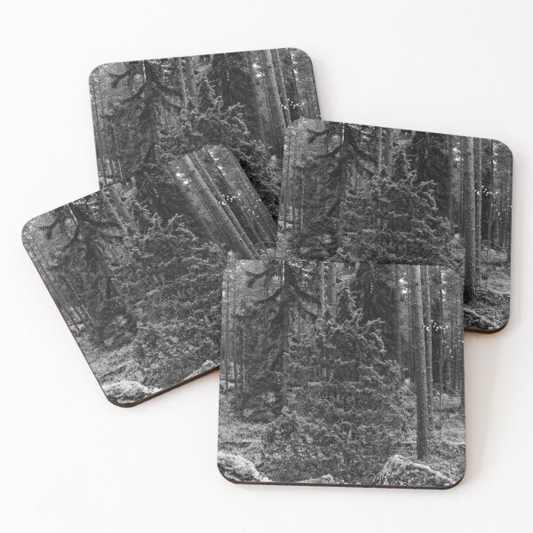 Item preview, Juniper autumn. Nokia landscapes 2025 bw designed and sold by Jouko Lehto Photography.