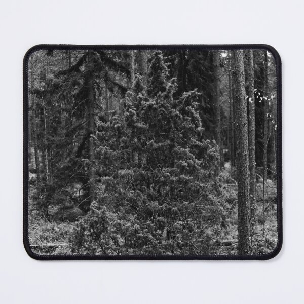 Item preview, Juniper autumn. Nokia landscapes 2025 bw designed and sold by Jouko Lehto Photography.