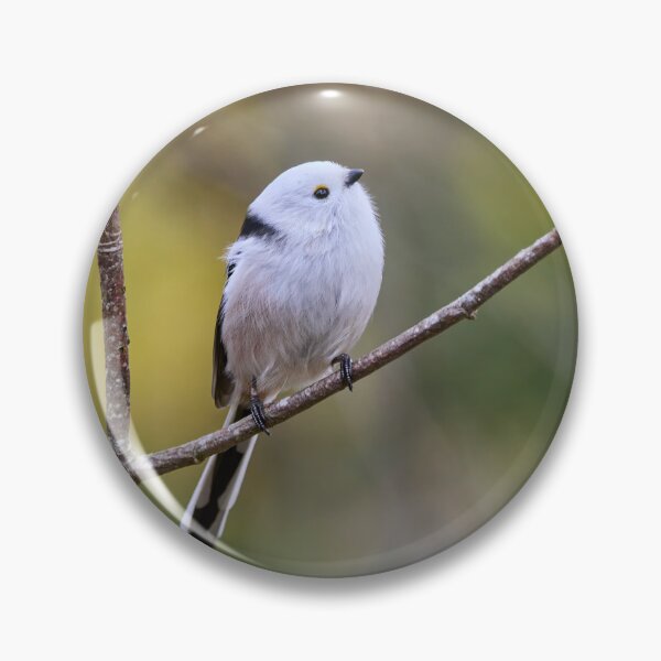 Item preview, Looking up there. Long-tailed tit designed and sold by Jouko Lehto Photography.