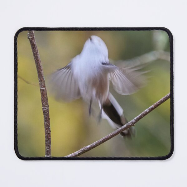 Item preview, The fairy. Long-tailed tit designed and sold by Jouko Lehto Photography.