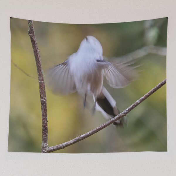 Item preview, The fairy. Long-tailed tit designed and sold by Jouko Lehto Photography.