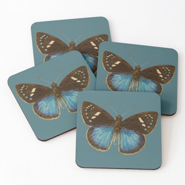 Item preview, The Jovian Paradox: Pythonides Jovianus – Vintage Scientific Butterfly Illustration designed and sold by FreiherrPK.