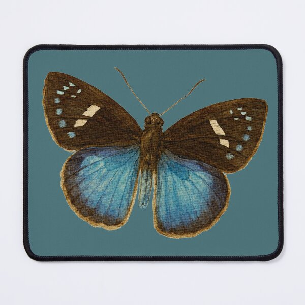 Item preview, The Jovian Paradox: Pythonides Jovianus – Vintage Scientific Butterfly Illustration designed and sold by FreiherrPK.
