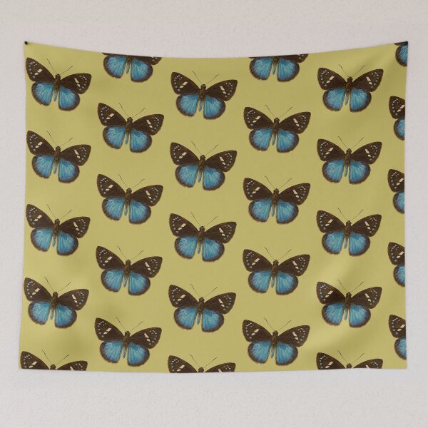 Item preview, The Jovian Paradox: Pythonides Jovianus – Vintage Scientific Butterfly Illustration designed and sold by FreiherrPK.