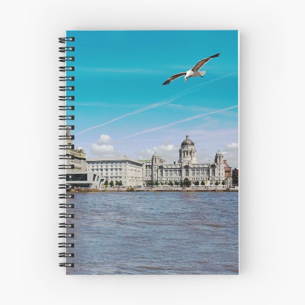 Item preview, Liverpools Three Graces designed and sold by Frank  Irwin.