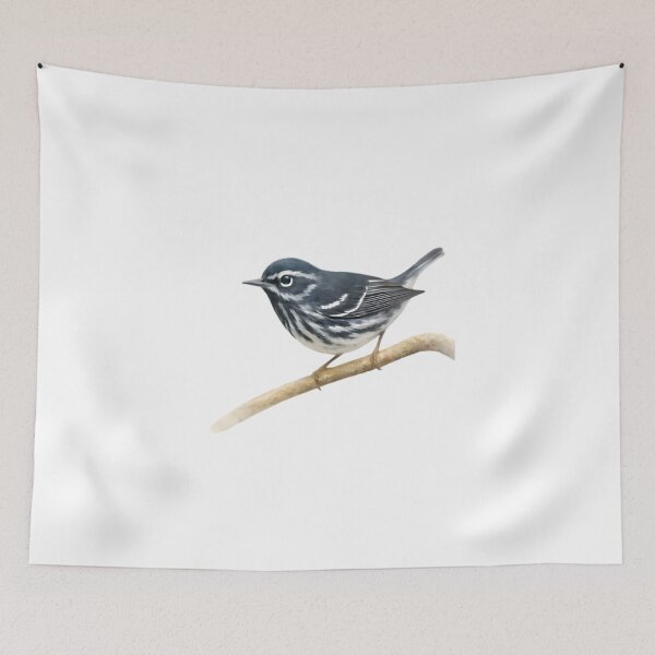 Item preview, Elfin-woods Warbler (Setophaga angelae) designed and sold by HOMETOWN86.