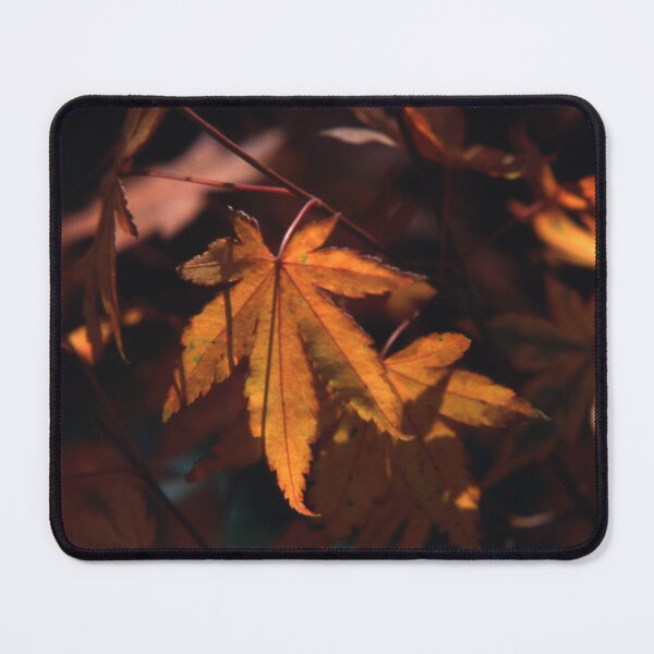 Item preview, Vintage Autumn Foliage designed and sold by AnalogDays.