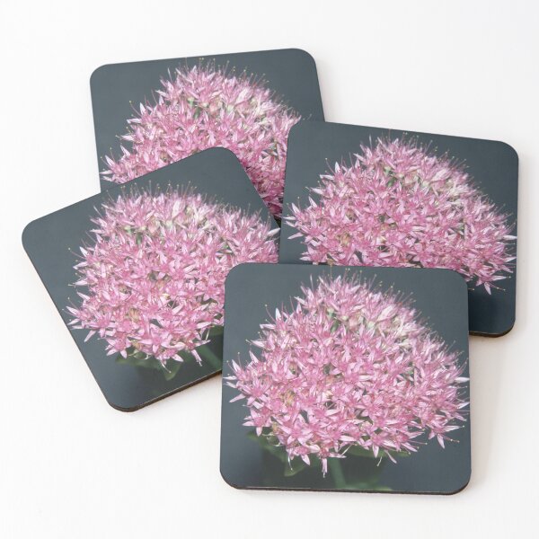 Item preview, Pink Sedum designed and sold by AnalogDays.