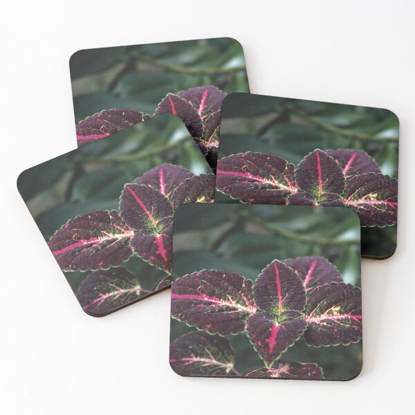 Item preview, Coleus Leaf designed and sold by AnalogDays.