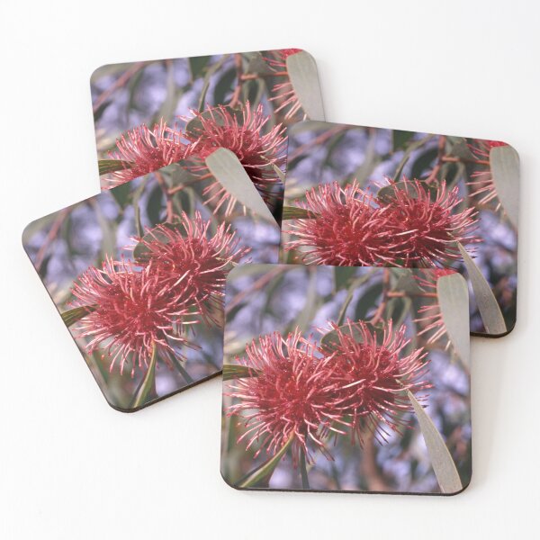 Item preview, Crimson Burst Australian Flora 1970s designed and sold by AnalogDays.