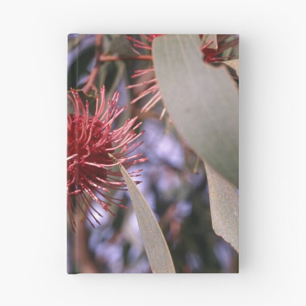 Item preview, Crimson Burst Australian Flora 1970s designed and sold by AnalogDays.