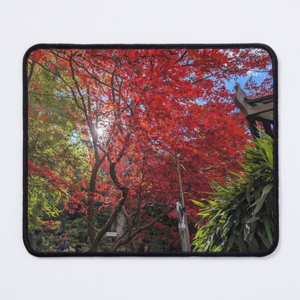 Item preview, Stunning Japanese Garden Inspiration: Vibrant Red Maples & Zen Landscaping designed and sold by Photogenic Snap.