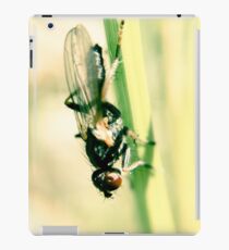Red eyed fly on a hay iPad Case/Skin