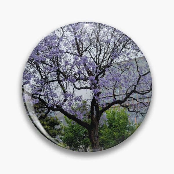 Item preview, Dreamy Jacaranda Tree in Full Bloom — Urban Serenity in Purple designed and sold by Photogenic Snap.