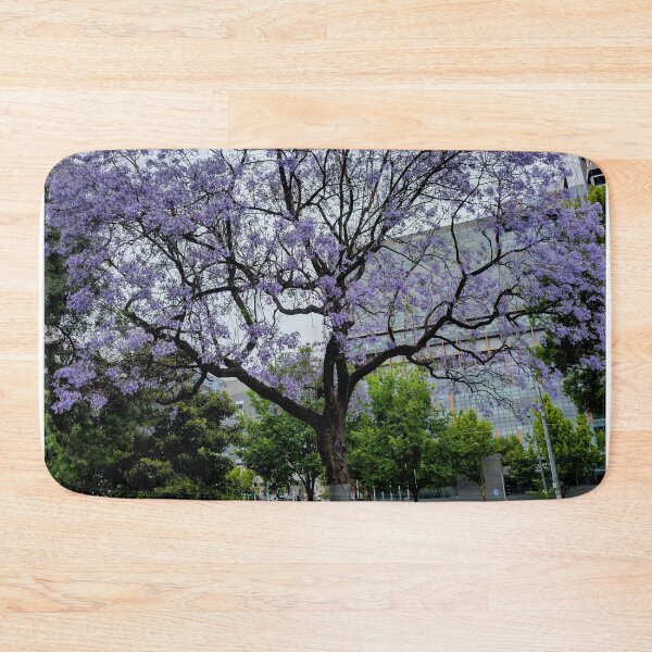 Item preview, Dreamy Jacaranda Tree in Full Bloom — Urban Serenity in Purple designed and sold by Photogenic Snap.