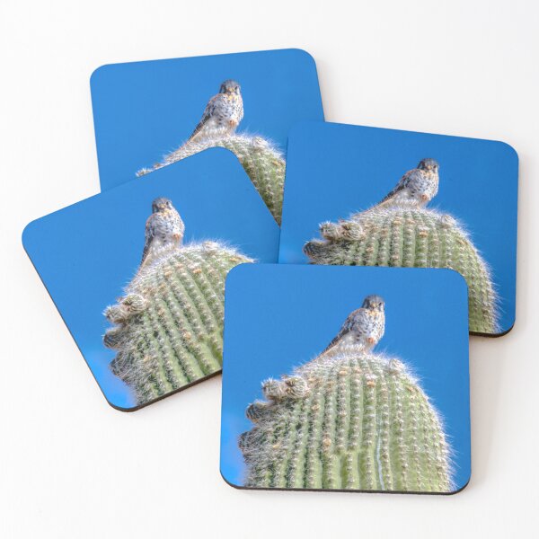 Item preview, American Kestrel on Cardon Cactus - Argentine Andes Wildlife designed and sold by Keltoi-art.