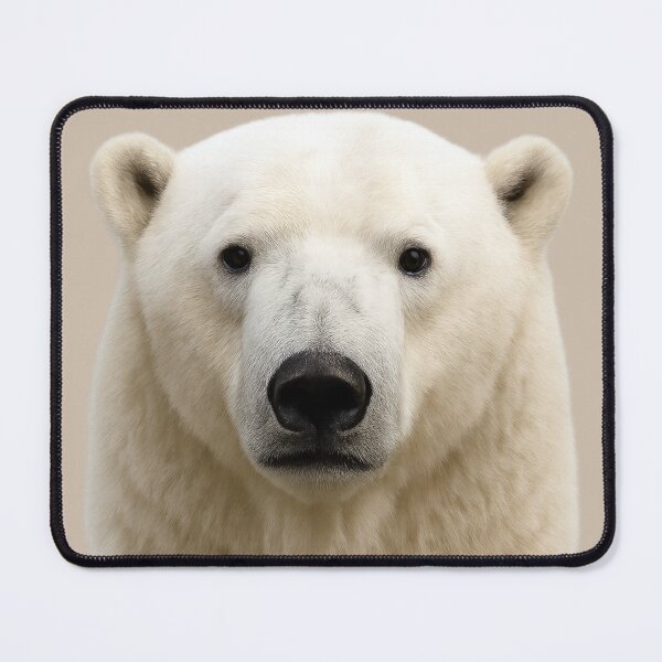 Item preview, Polar Bear Face – Realistic Wildlife Portrait Illustration designed and sold by BROHLine Studio.