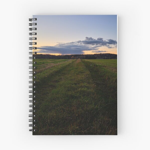 Item preview, Grassfield tracks in the evening. Nokia 2925 designed and sold by Jouko Lehto Photography.