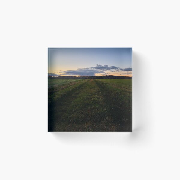 Item preview, Grassfield tracks in the evening. Nokia 2925 designed and sold by Jouko Lehto Photography.