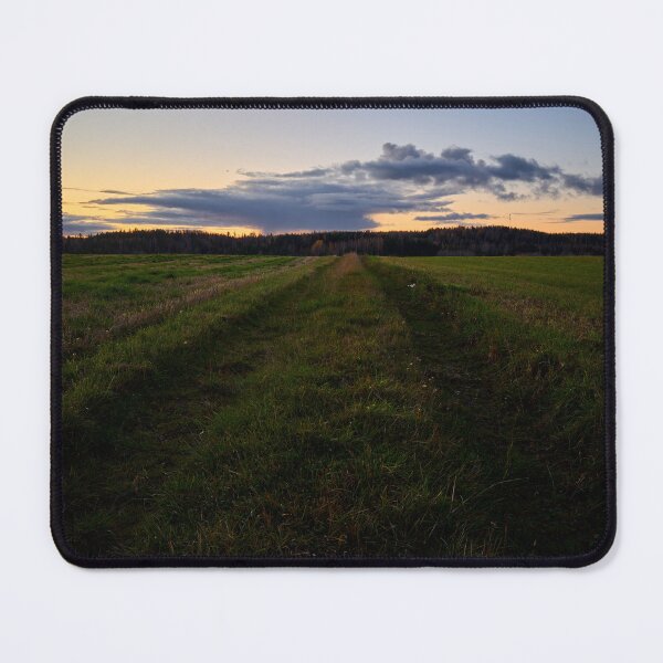 Item preview, Grassfield tracks in the evening. Nokia 2925 designed and sold by Jouko Lehto Photography.