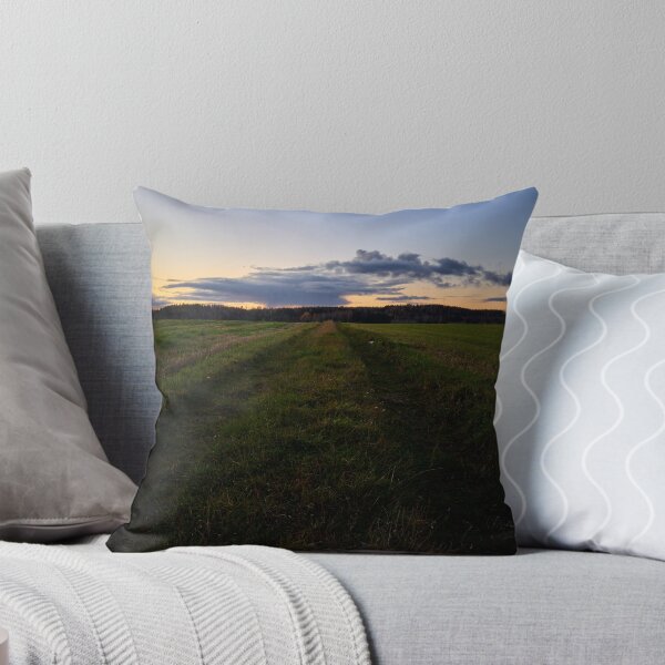 Item preview, Grassfield tracks in the evening. Nokia 2925 designed and sold by Jouko Lehto Photography.