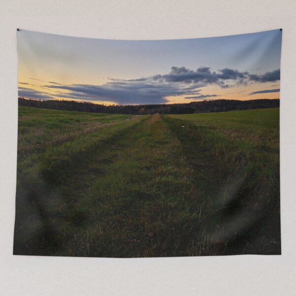 Item preview, Grassfield tracks in the evening. Nokia 2925 designed and sold by Jouko Lehto Photography.