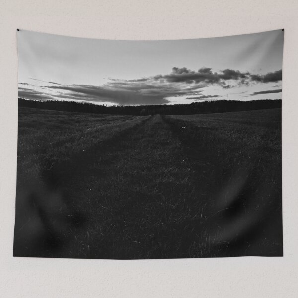 Item preview, Grassfield tracks in the evening. Nokia 2925 bw designed and sold by Jouko Lehto Photography.